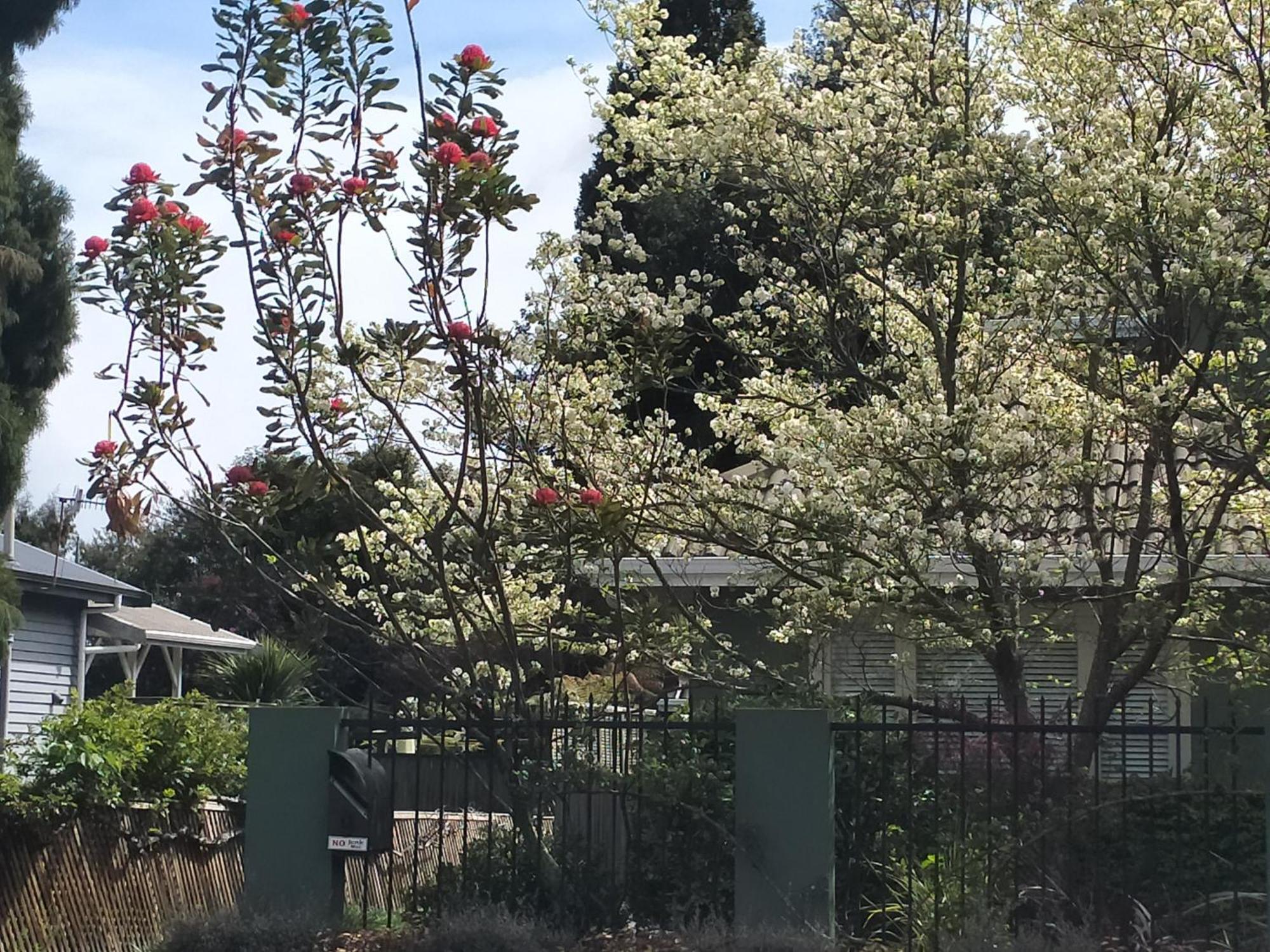 Amberly House Rotorua Bed & Breakfast ภายนอก รูปภาพ